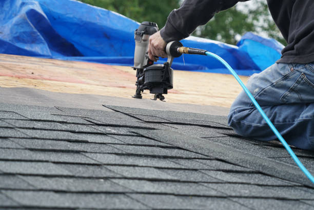 Sheet Metal Roofing in St Joseph, MN